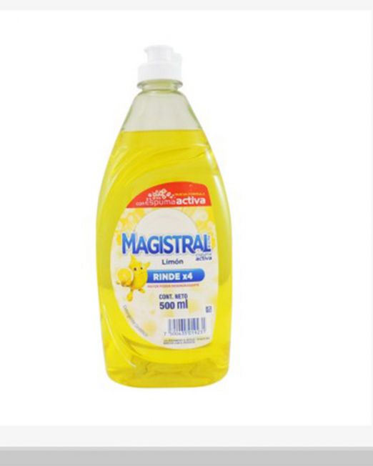 Art 134 Detergente Magistral x 300